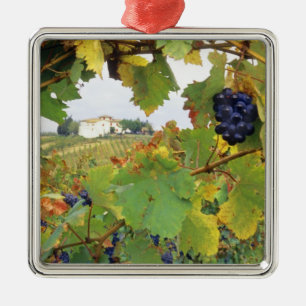 Adorno Metálico Italia, granja toscana vista