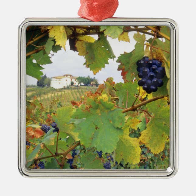 Adorno Metálico Italia, granja toscana vista (Frente)