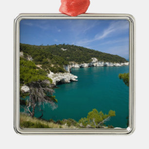 Adorno Metálico Italia, Puglia, Promontorio del Gargano, Testa