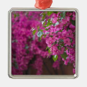 Adorno Metálico Italia, Sicilia, Cefalu, patio florido cerca