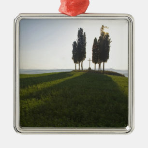 Adorno Metálico Italia, Toscana, cipreses en la Toscana con