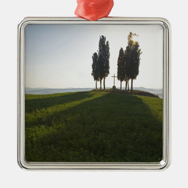 Adorno Metálico Italia, Toscana, cipreses en la Toscana con (Frente)