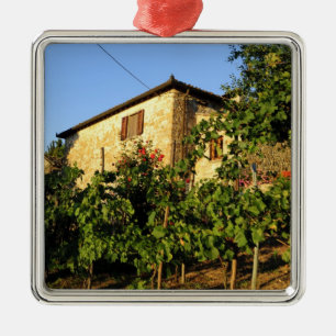 Adorno Metálico Italia, Toscana, Greve. Escenas de vino de verano 