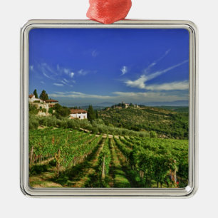 Adorno Metálico Italia, Toscana, Greve. Los viñedos de Castello