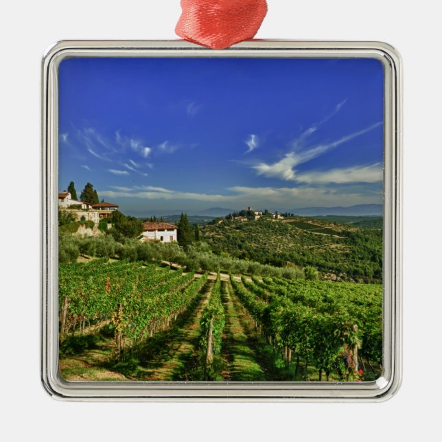 Adorno Metálico Italia, Toscana, Huelga. Los viñedos de Castello (Frente)