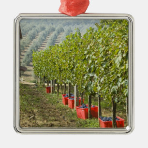 Adorno Metálico Italia, Toscana, Montalcino. Bins de cosecha