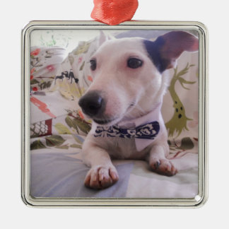 Adorno Metálico Jack Russell Terier