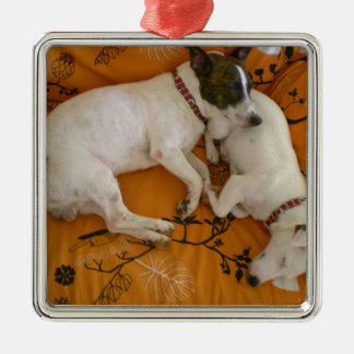 Adorno Metálico Jack Russell Terrier