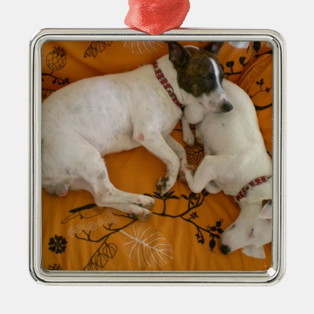 Adorno Metálico Jack Russell Terrier (Frente)