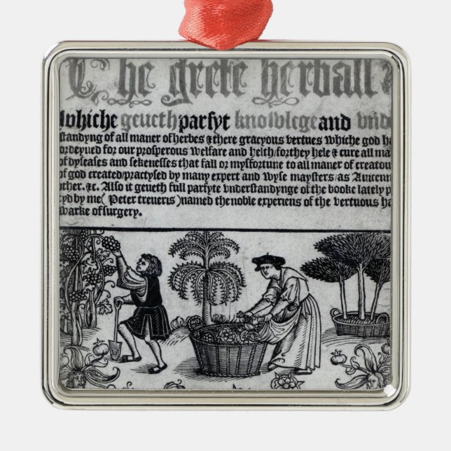 Adorno Metálico Jardín de hierbas medieval (Frente)