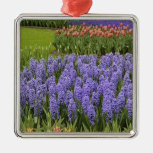 Adorno Metálico Jardín de Tulipanes e Hiazintos, Jardines Keukenho