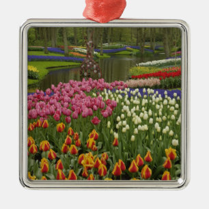 Adorno Metálico Jardín de tulipanes e hyacinth, Keukenhof Gardens,