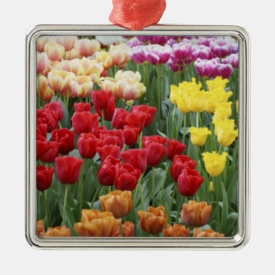 Adorno Metálico Jardines Keukenhof, Holanda, se especializa en 2