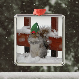 Adorno Metálico Jaunty Squirrel con el honor de Navidad de Elf Gor