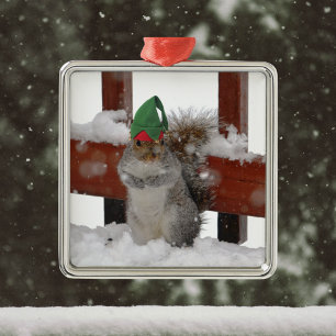 Adorno Metálico Jaunty Squirrel con el honor de Navidad de Elf Gor