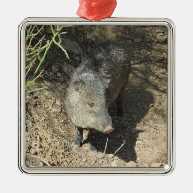 Adorno Metálico Javelina (Frente)