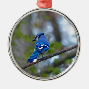 Adorno Metálico Jay azul