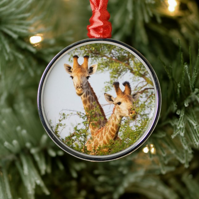 Adorno Metálico jirafas que buscan sobre la vegetación (Árbol)