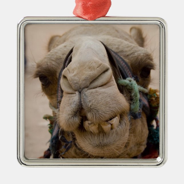 Adorno Metálico Jordania, antigua ciudad Nabataea de Petra (Frente)