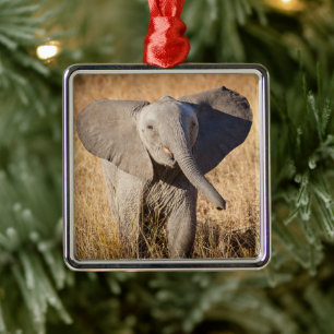 Adorno Metálico Joven elefante de sabana