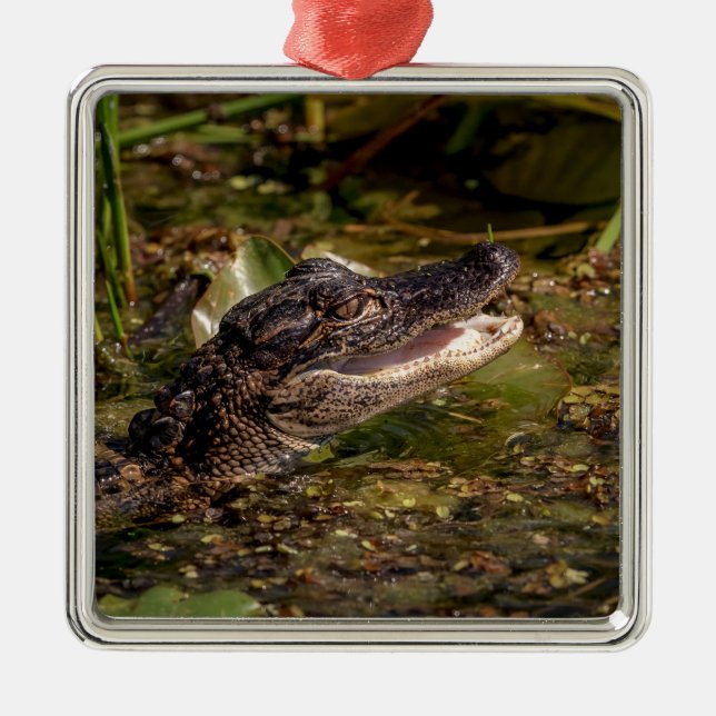 Adorno Metálico Joven lagarto (Frente)