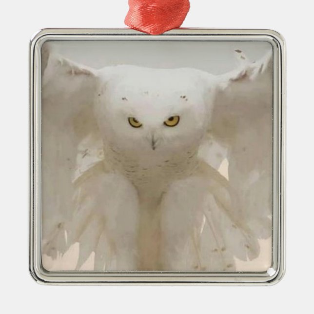 ADORNO METÁLICO JULIAN OWL ORNAMENT (Frente)