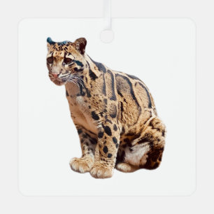 Adorno Metálico jungla de fotografía de leopardo nublado animal ga