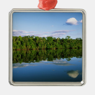 Adorno Metálico Juruena, Brasil. Orilla del río boscoso reflejada
