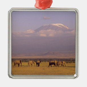 Adorno Metálico Kenia: Parque Nacional de Amboseli, Elefantes