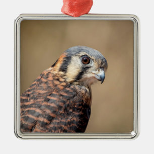 Adorno Metálico Kestrel americano