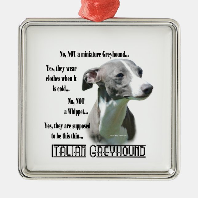 Adorno Metálico Keychain de preguntas frecuentes de Greyhound (Frente)