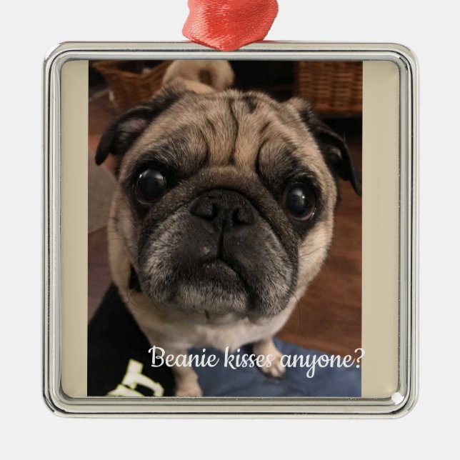 Adorno Metálico ¿Kissea cualquier persona de la gorrita tejida? (Frente)