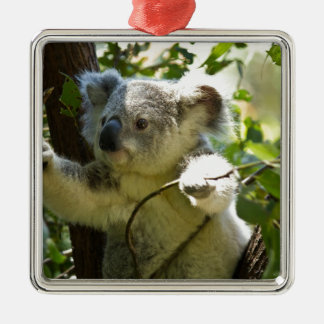 Adorno Metálico Koala cutie
