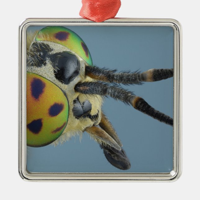 Adorno Metálico La cabeza de ciervos vuela (Frente)