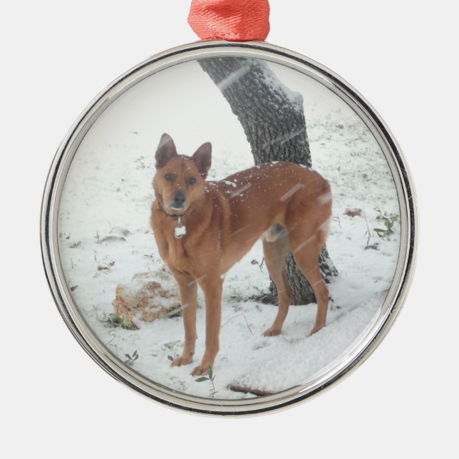 Adorno Metálico La colección del navidad añade la foto del mascota (Frente)
