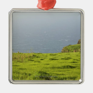 Adorno Metálico La costa cerca de Ponta hace Pargo, Madeira,