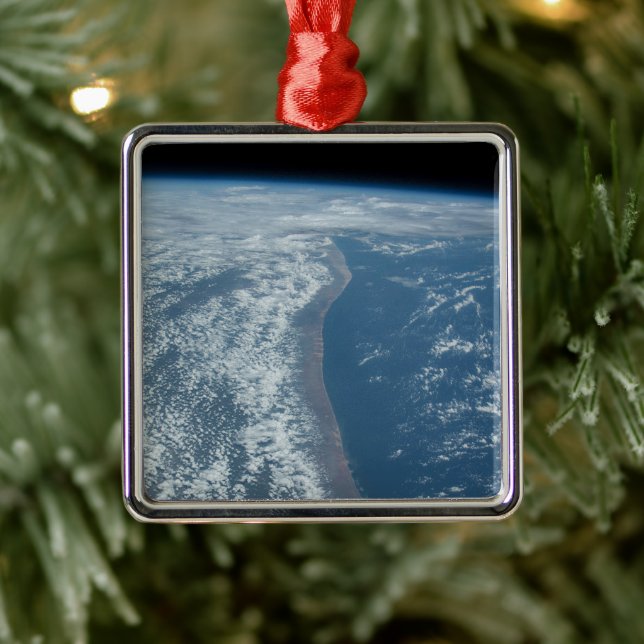 Adorno Metálico La Costa Del Océano Índico De Kenia Y Somalia. (Árbol)