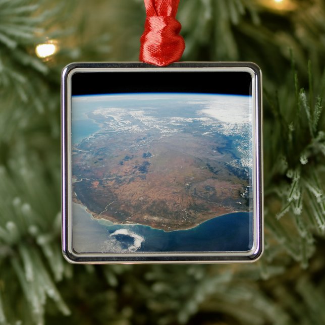 Adorno Metálico La Isla De Madagascar. (Árbol)