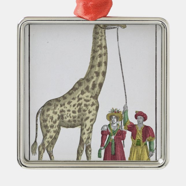 Adorno Metálico La jirafa presentada al rey (Frente)