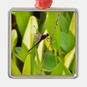 Adorno Metálico La libélula azul y la negra sobre la hierba.