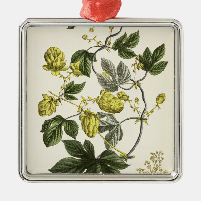 Adorno Metálico La vid de salto, "de la persona de tierra firme (Frente)