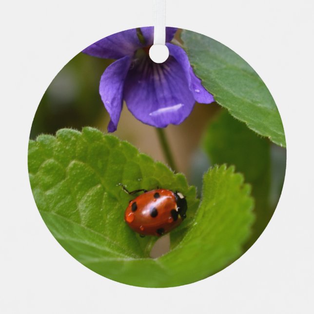 Adorno Metálico Ladybug sobre las dulces flores violetas (Anverso)