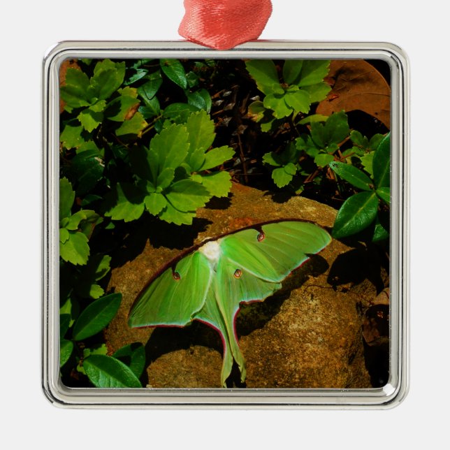 Adorno Metálico Lágrima luna verde gigante (Frente)