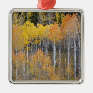 Adorno Metálico Lambert Hollow, álamos de álamos