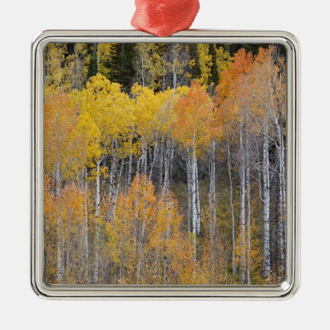 Adorno Metálico Lambert Hollow, álamos de álamos (Frente)