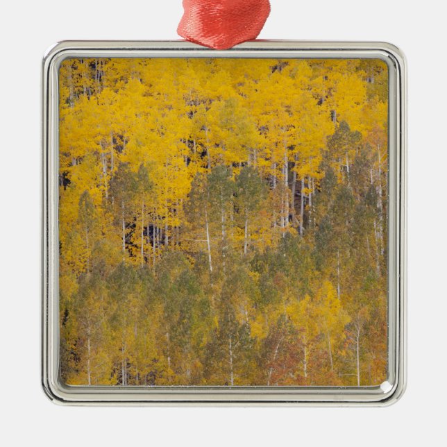 Adorno Metálico Lambert Hollow, álamos de álamos (Frente)