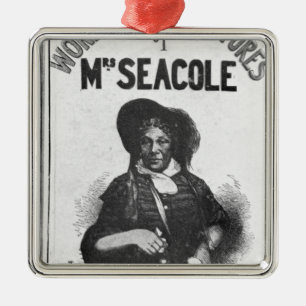 Adorno Metálico Las aventuras maravillosas de señora Seacole'