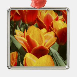Adorno Metálico Las tulipas abundan en los jardines de Keukenhof,