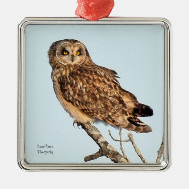 Adorno Metálico Lechuza Corta (Frente)