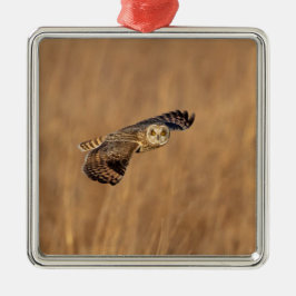 Adorno Metálico Lechuza de orejas cortas en vuelo en los pastizale